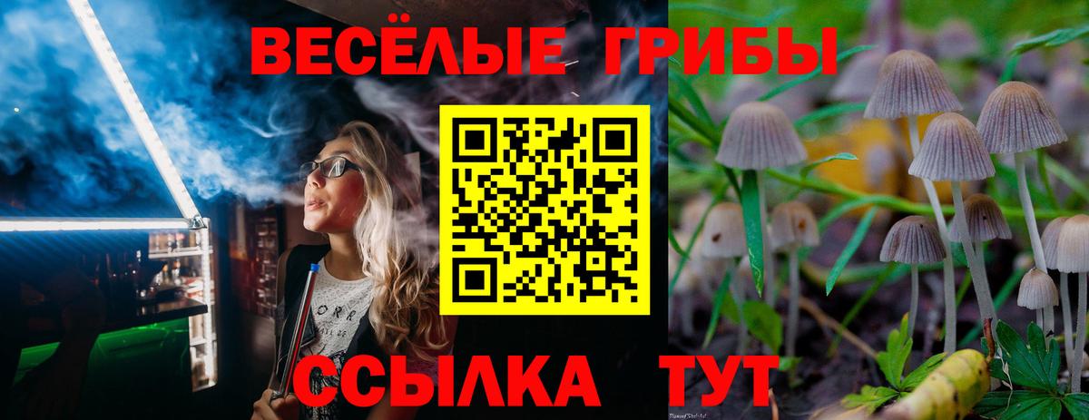 Вятские Поляны  Псилоцибиновые грибы MAGIC MUSHROOMS  Вход с VPN 